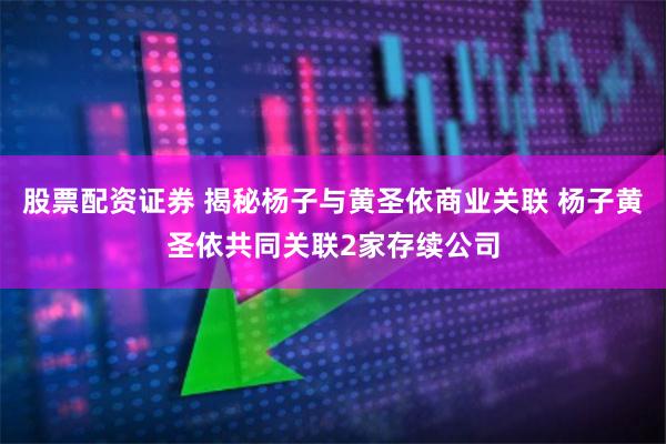 股票配资证券 揭秘杨子与黄圣依商业关联 杨子黄圣依共同关联2家存续公司