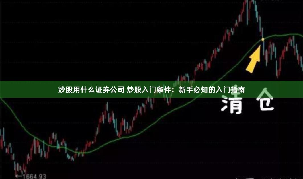 炒股用什么证券公司 炒股入门条件：新手必知的入门指南
