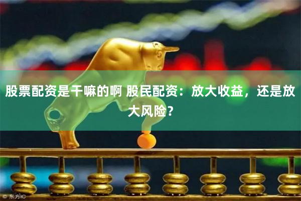股票配资是干嘛的啊 股民配资：放大收益，还是放大风险？
