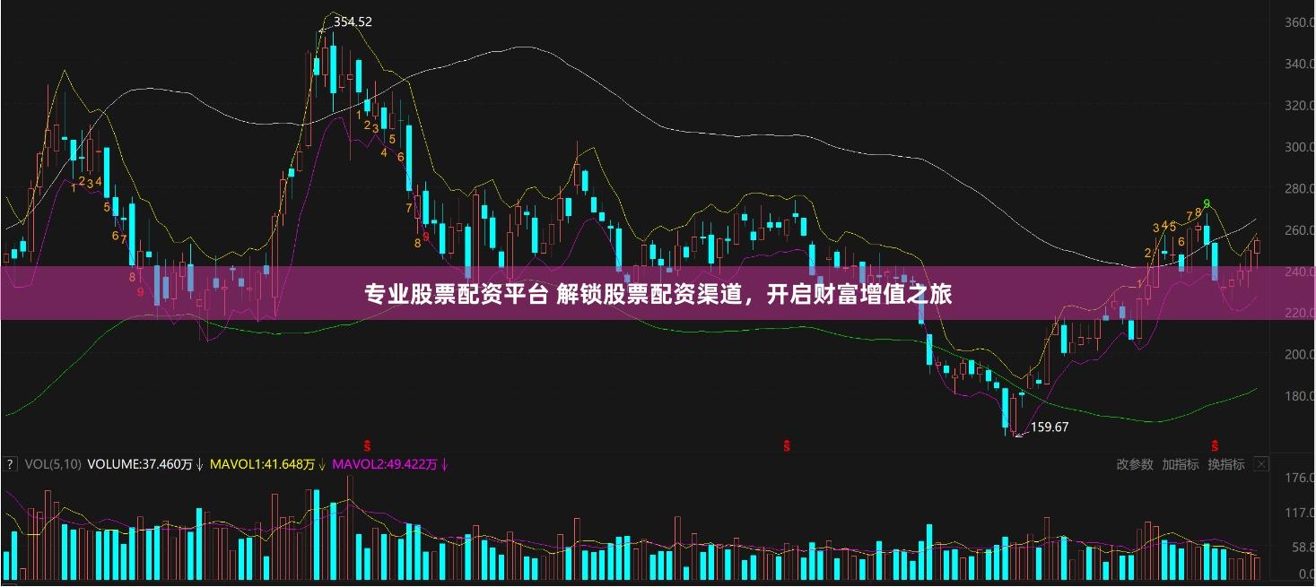 专业股票配资平台 解锁股票配资渠道，开启财富增值之旅